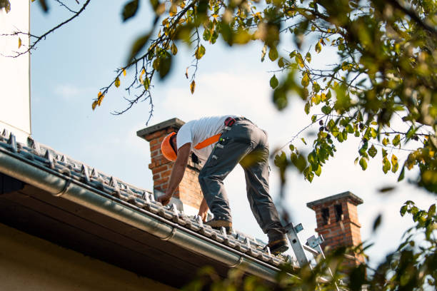 Best Storm Damage Roof Repair  in Felida, WA