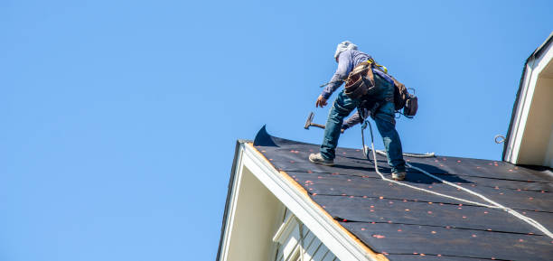 Best Shingle Roofing Installation  in Felida, WA